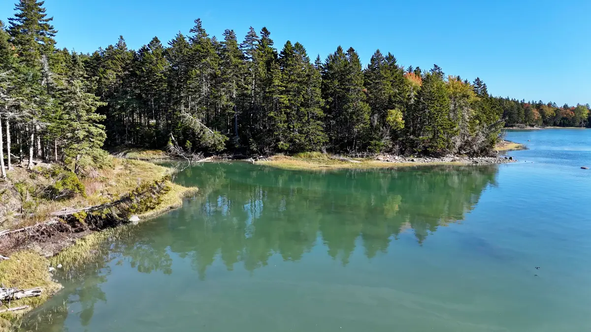 119 Flye Point Road, Brooklin, ME 04616 - #1
