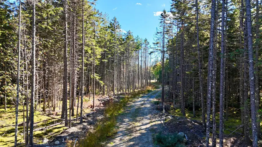 119 Flye Point Road, Brooklin, ME 04616 - #3