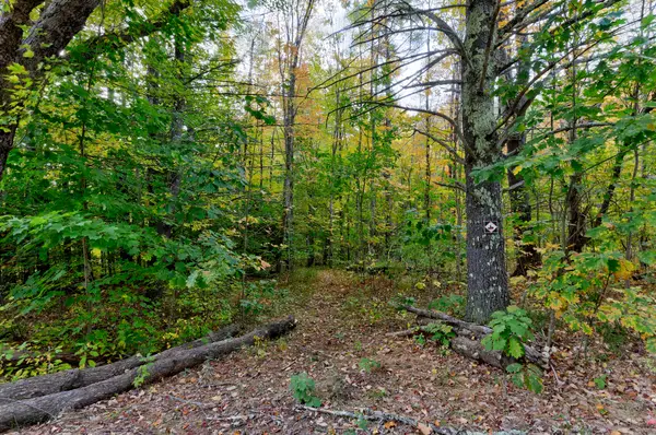 45-28 Fairview Avenue, Gray, ME 04039