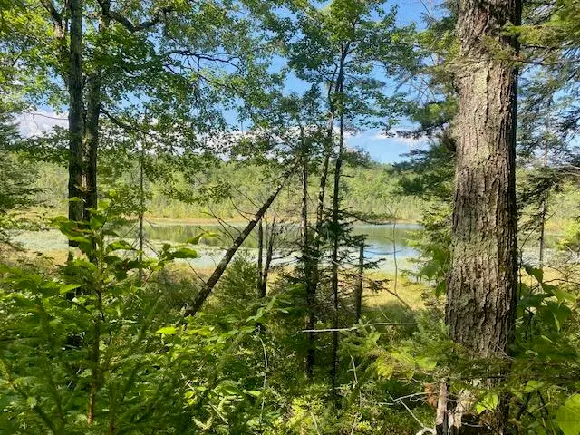 54AC Haley Town Road, Fryeburg, ME 04037 - #3
