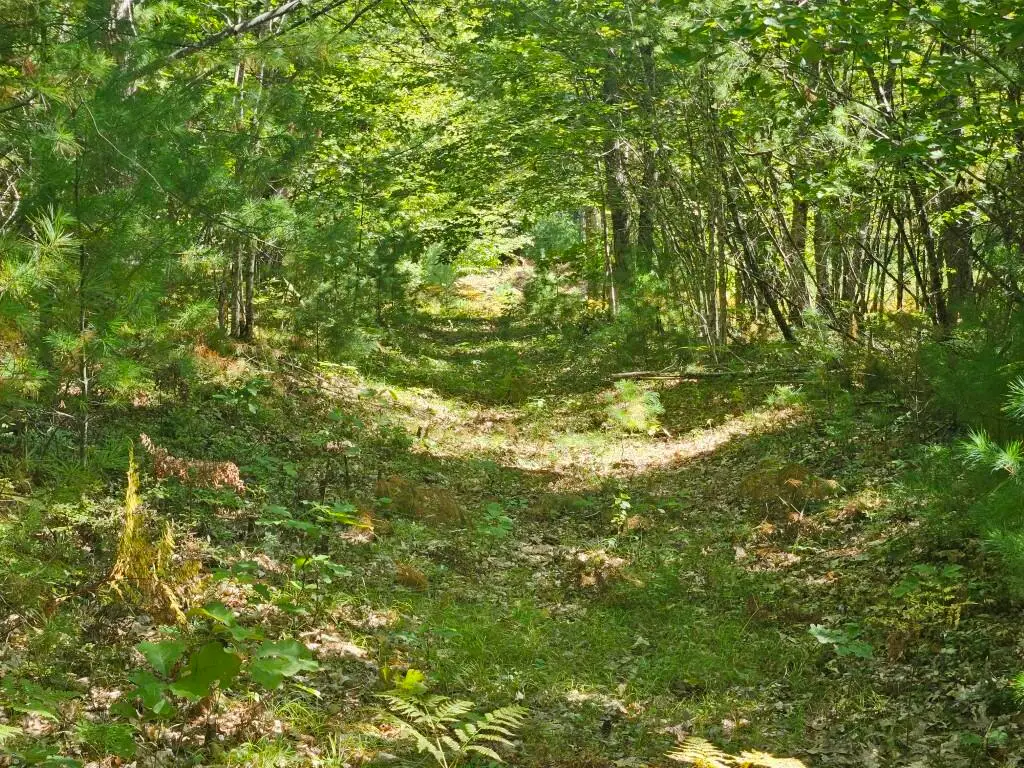 Lot 9 Pequawket Trail, Standish, ME 04084 - #1