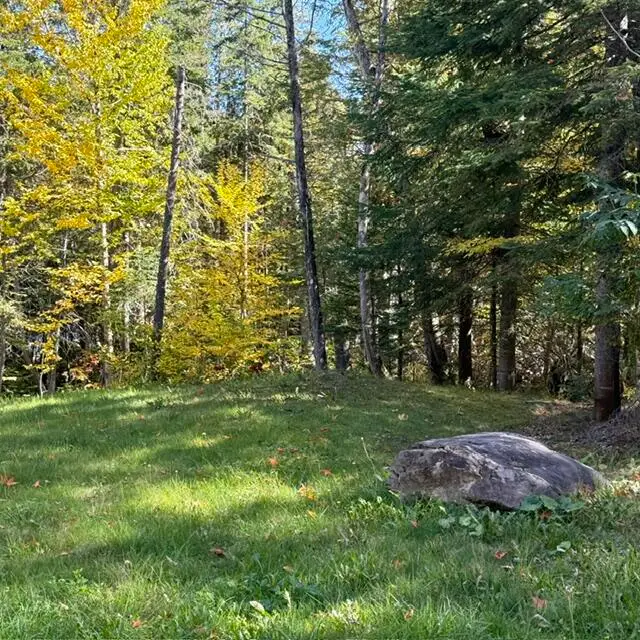 269 W W. Van Buren Cove Road, Van Buren, ME 04785 - #2