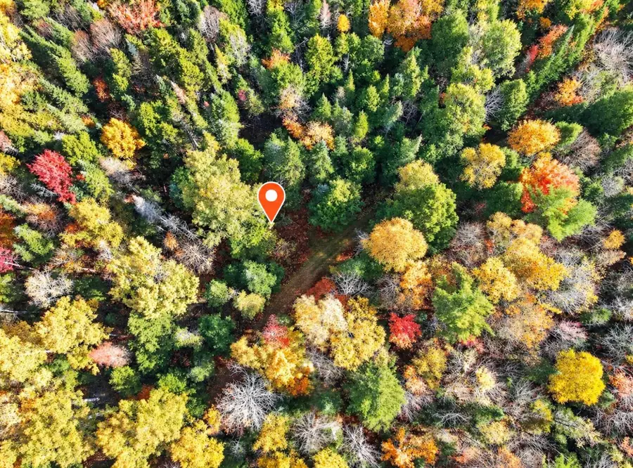 M7 L19-4 Off Medford Road, Lagrange, ME 04453 - #2