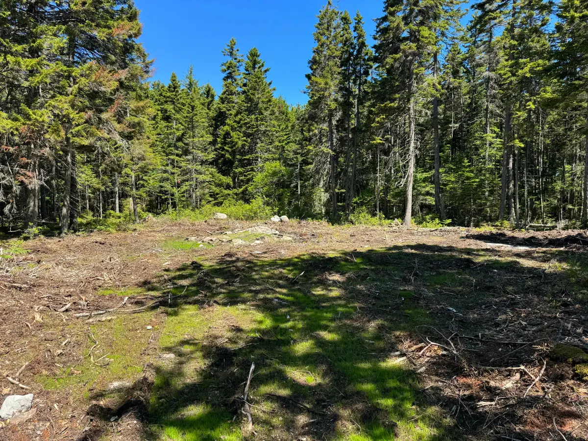 12 Jamestown Road, Vinalhaven, ME 04863 - #1