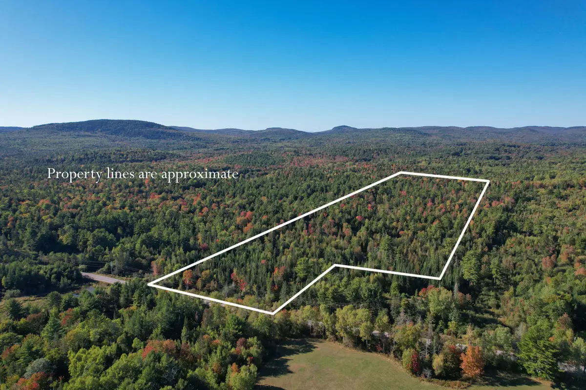 Lot #28 Mariaville Road, Mariaville, ME 04605 - #1