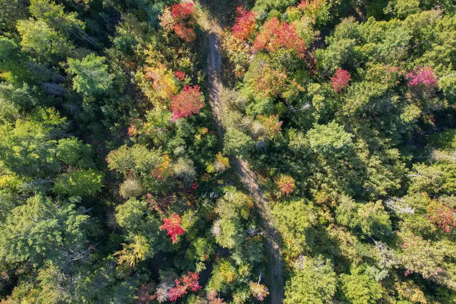 Lot #28 Mariaville Road, Mariaville, ME 04605 - #3