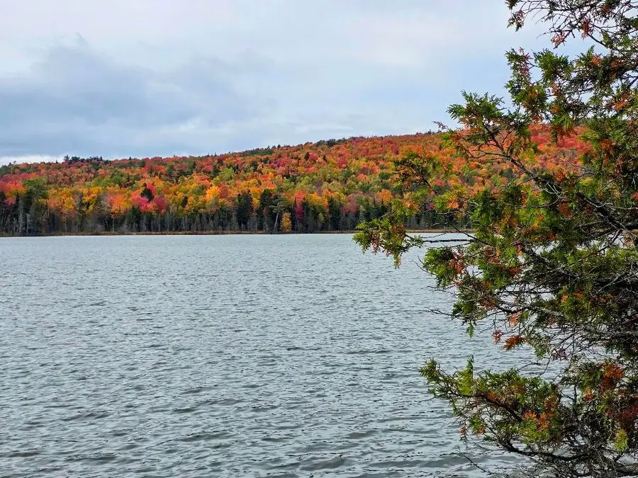 59 Sawyer Pond Highlands Road, Greenville, ME 04441 - #3