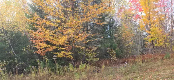 Lot 27 Murray Road, Thorndike, ME 04986