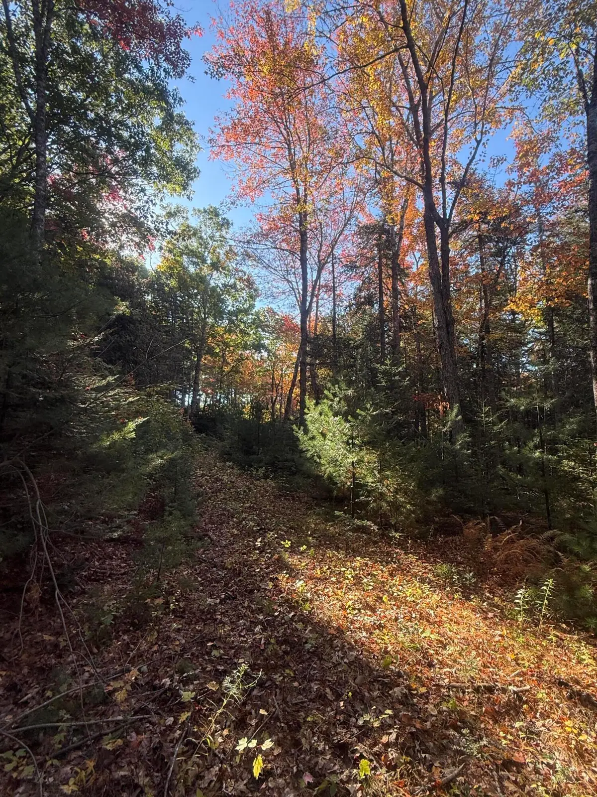 11&15 Bagaduce Lane, Sedgwick, ME 04676 - #1