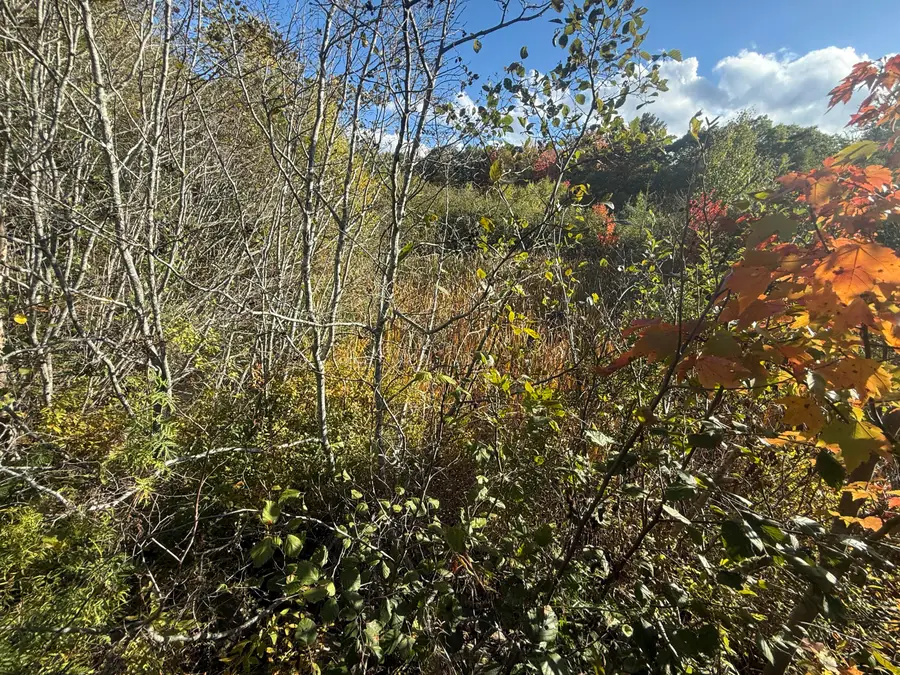 11&15 Bagaduce Lane, Sedgwick, ME 04676 - #3