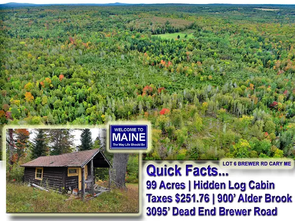 Lot 6  Brewer Road, Cary Plt, ME 04471