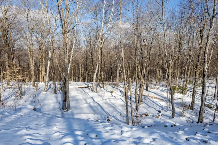 Lot 17 Garnet Way, Newry, ME 04261 - #3