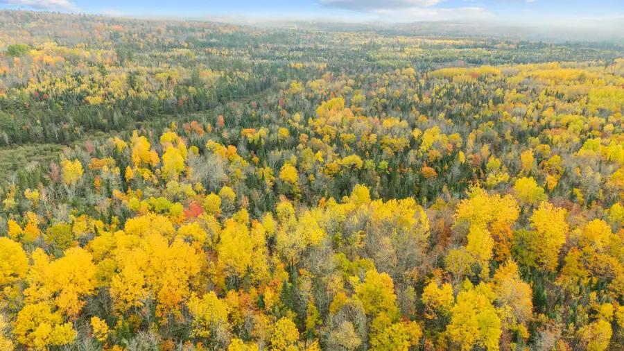 Lot #41-03 Forest Brook Drive, Abbot, ME 04406 - #2