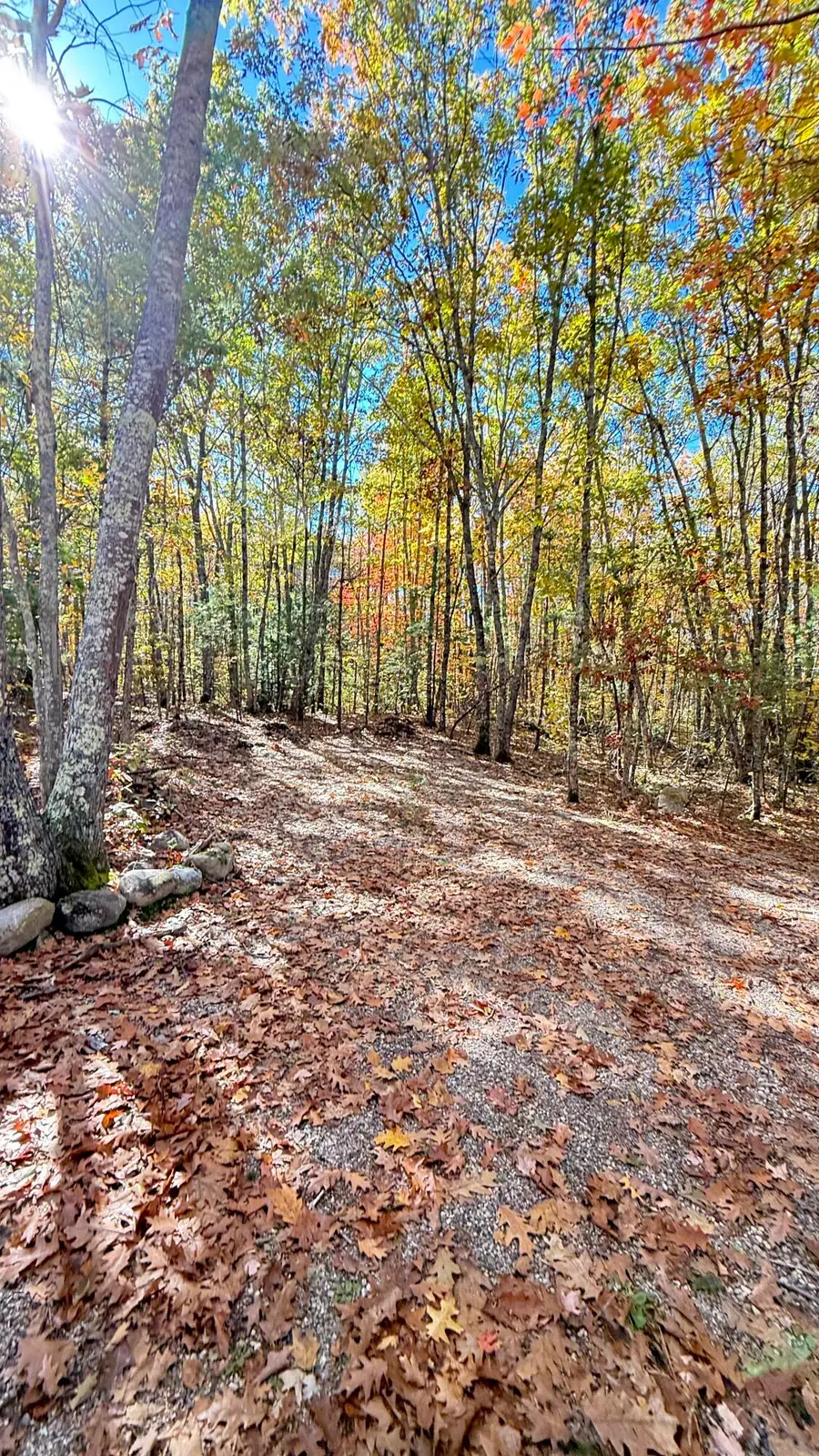 224-003 Garvin Road, Acton, ME 04001 - #3