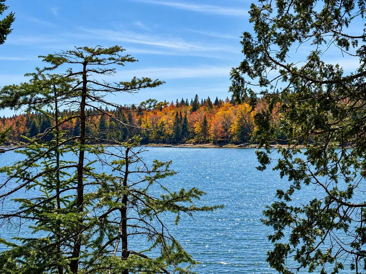 Lot 20-15 Collins Cove Road, Machiasport, ME 04655 - #1