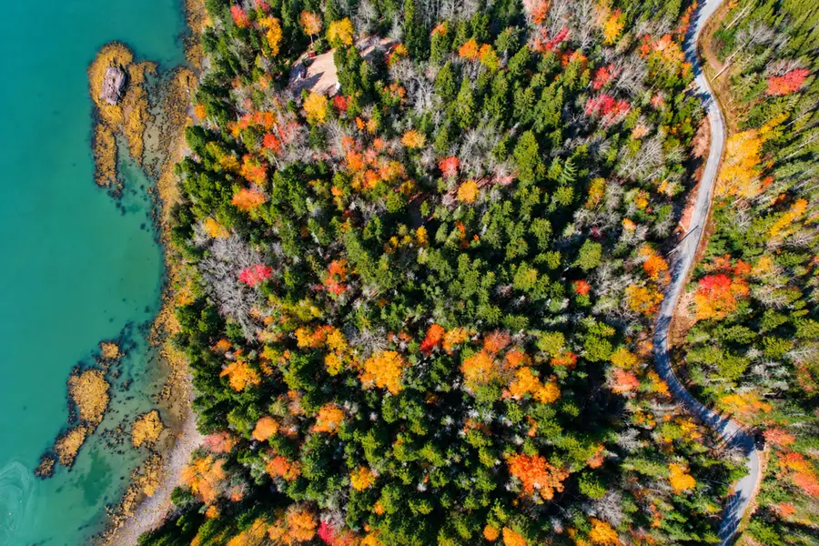 Lot 20-15 Collins Cove Road, Machiasport, ME 04655 - #3