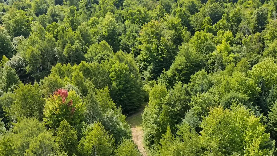 0 Goodwin Road #Lot 3, Carthage, ME 04224 - #3