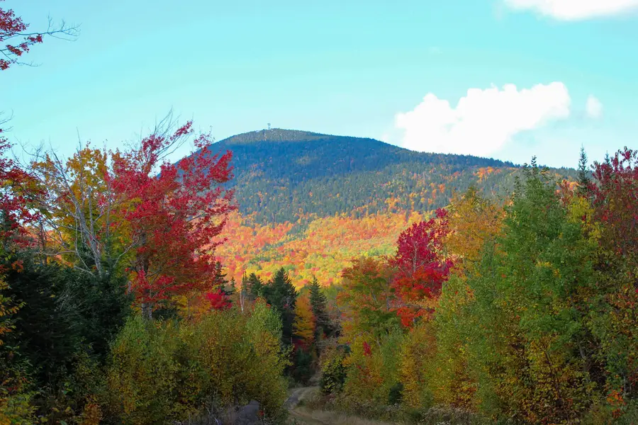 Lot B Taylor Woods Road, Temple, ME 04984 - #2