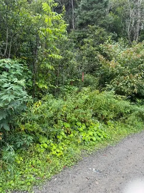 M 29 L 27 Gagnon Road, Madawaska, ME 04756