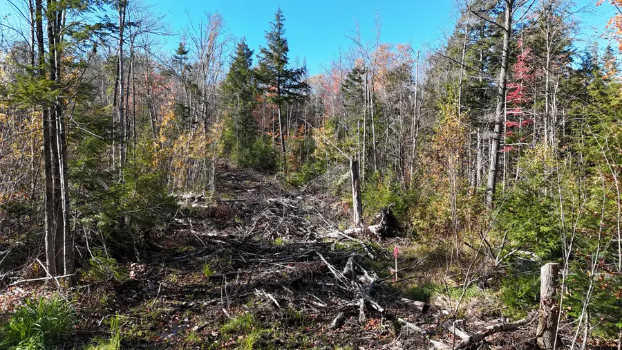Lot 1 Old County Road, Woodville, ME 04457 - #3