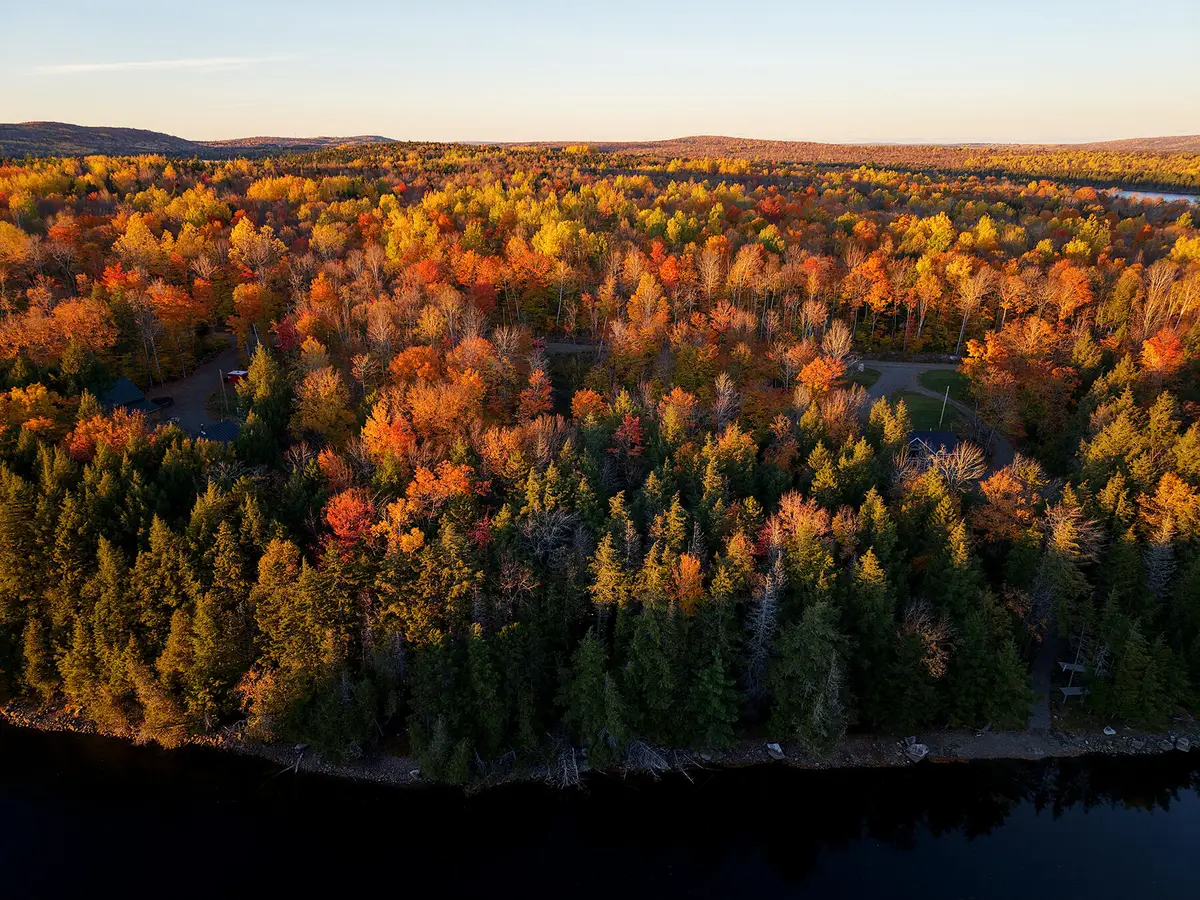 156 Upper Dark Cove Road, Weston, ME 04424 - #1