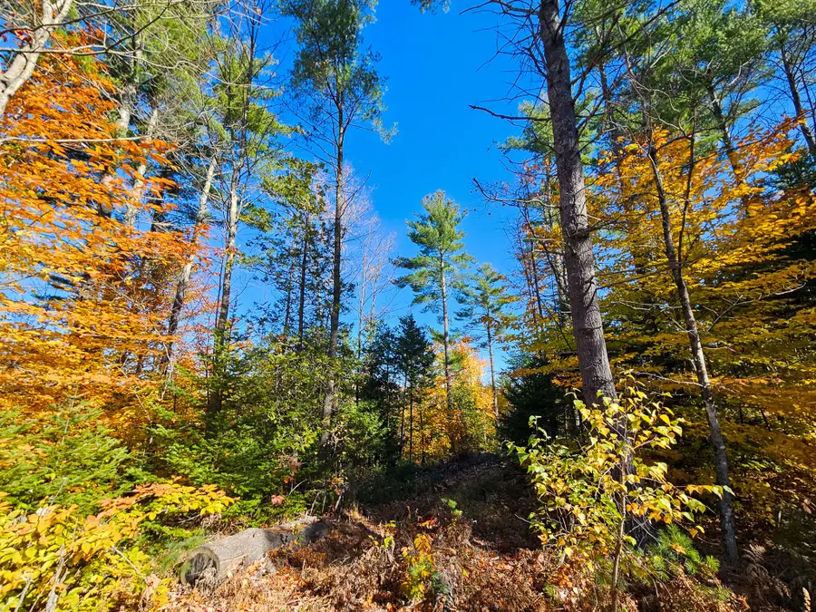M13 L55 Holman Road, Peru, ME 04290 - #2