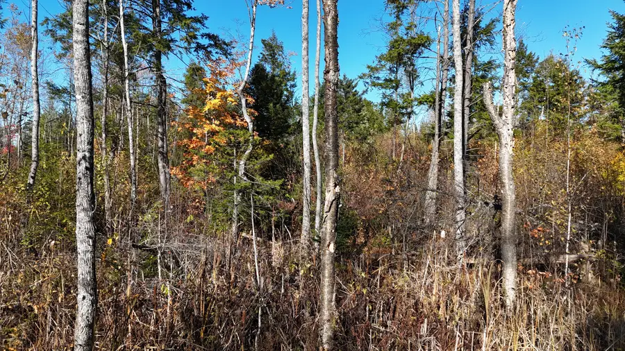 Lot 5 Long Pine Road, Woodville, ME 04457 - #3