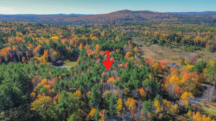 Lot 16 Lost Mile Road, Parsonsfield, ME 04047 - #3