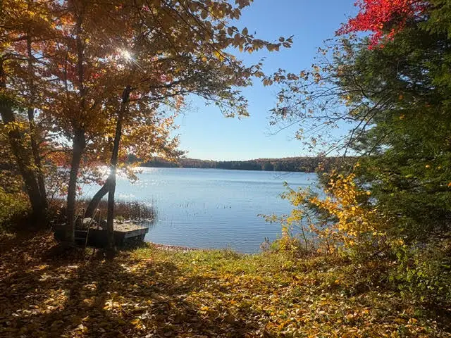 196 Rocky Pond Heights, Orland, ME 04472 - #2