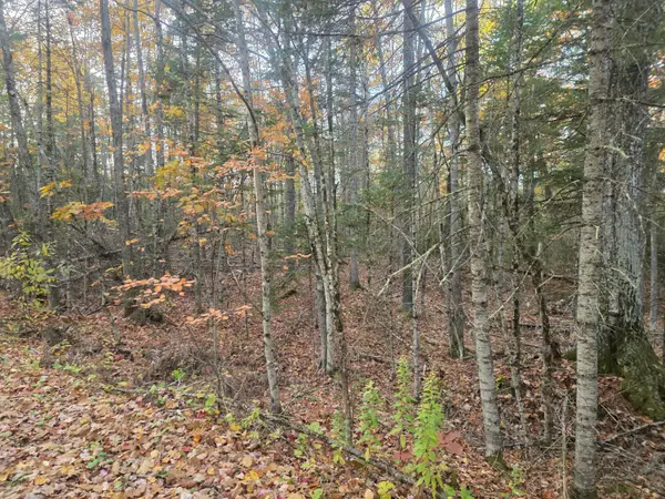 Lot 9(16C) W Cider Mill Lane, Swanville, ME 04915