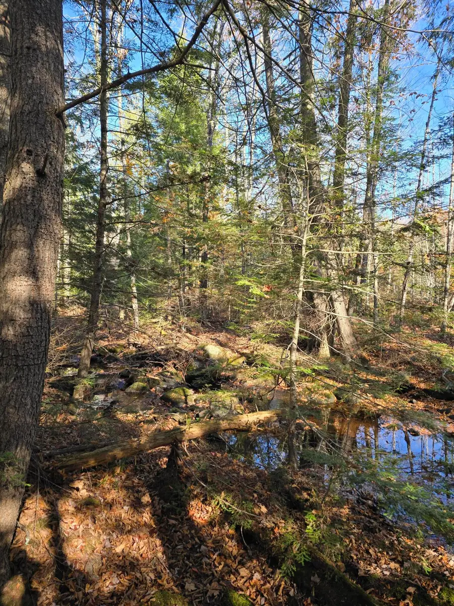 00 Wilson Road, Atkinson, ME 04426 - #2