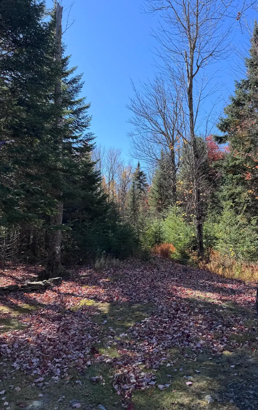 M9 L21 Stub Lorene's Lane, Dallas Plt, ME 04970 - #2