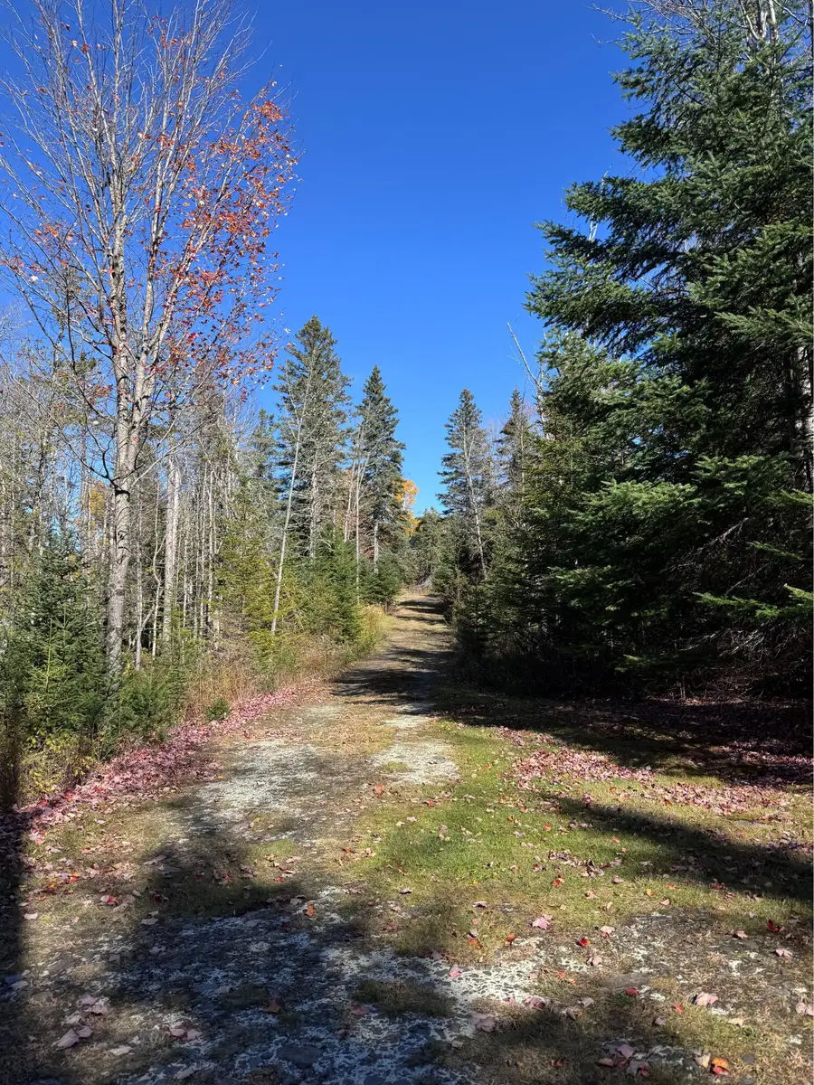 M9 L21 Stub Lorene's Lane, Dallas Plt, ME 04970 - #3