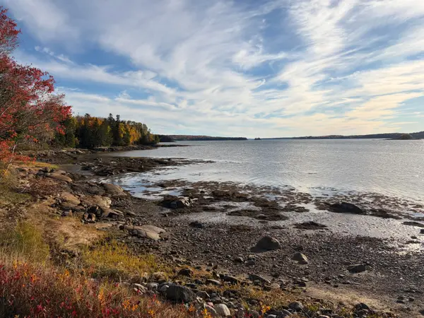 Lot #12 Timber Cove Lane, Harrington, ME 04643