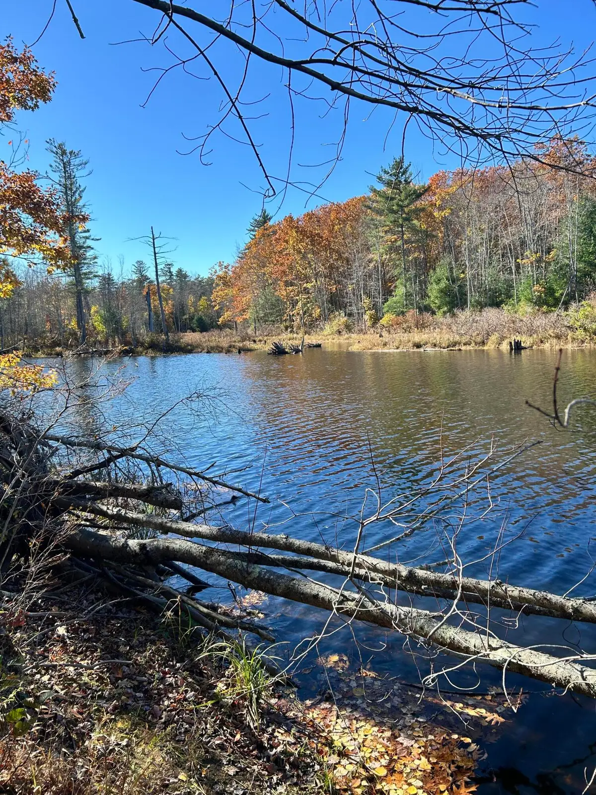 Lot 032 Overlook Court, Kennebunk, ME 04043 - #1