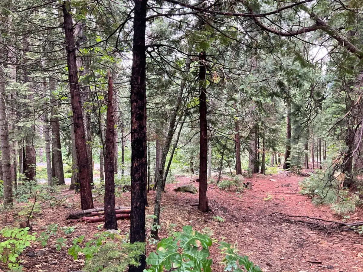 1526 Seminole, Arnold, CA 95223 - Image #1