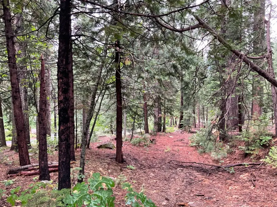 1526 Seminole, Arnold, CA 95223 - Image #2