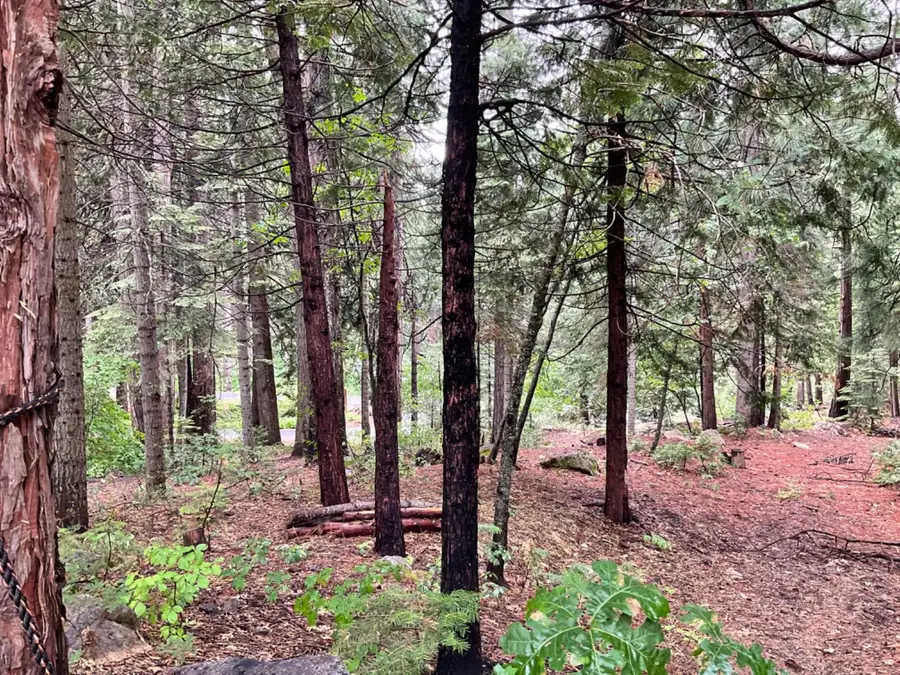 1526 Seminole, Arnold, CA 95223 - Image #3