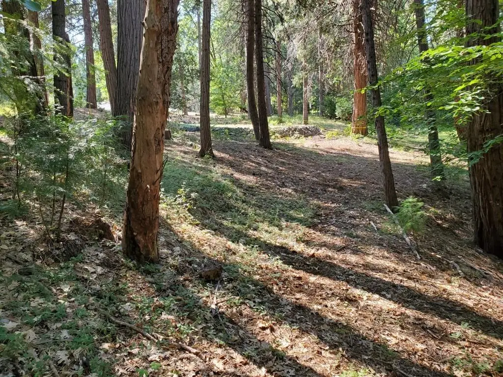 13136 Woodstock Drive, Nevada City, CA 95959 - Image #1