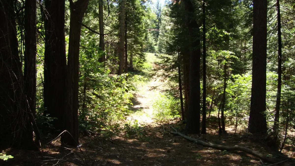 0 Culberson Road, Alta, CA 95701 - #1