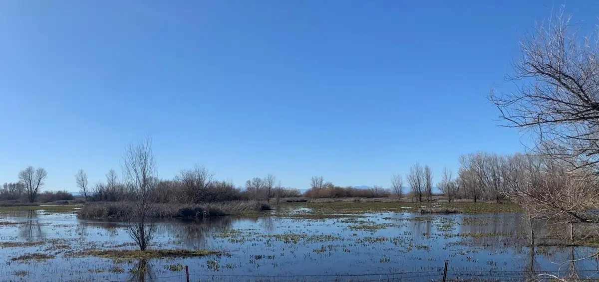 0 Pennington Road, Gridley, CA 95948 - Image #1