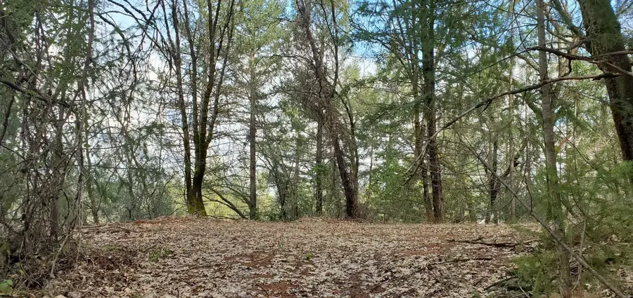 #3