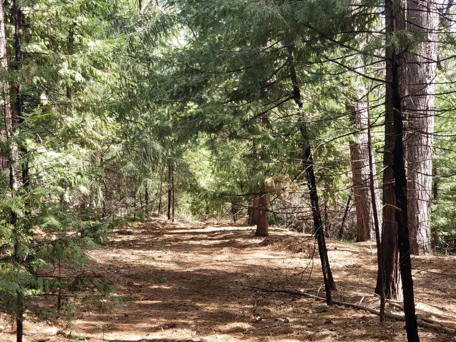 10 Buffalo Hill Road, Georgetown, CA 95634 - Image #2