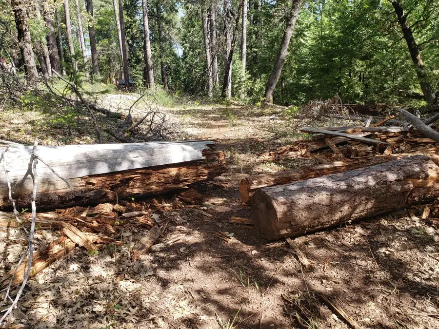 10 Buffalo Hill Road, Georgetown, CA 95634 - Image #3