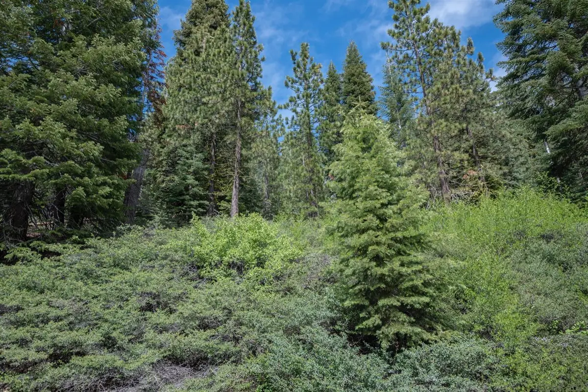 51 Liberty Road, Valley Springs, CA 95223 - #1