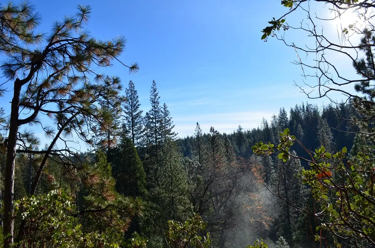 1703 War Hawk Way, Arnold, CA 95223 - Image #1