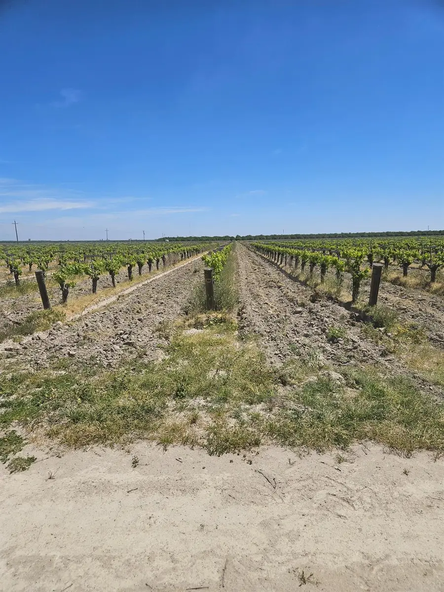 0 North, Kerman, CA 93630 - #2