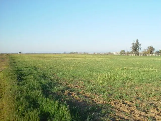 0 Ave. 22 1/2, Chowchilla, CA 93610 - Image #3