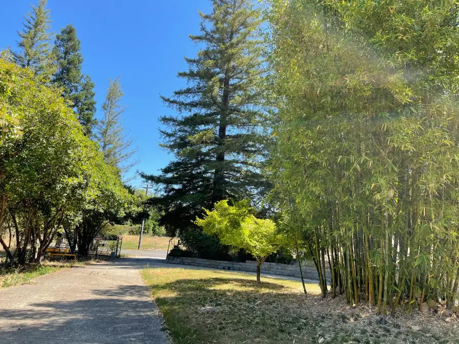 5990 Barton Road, Loomis, CA 95650 - Image #3