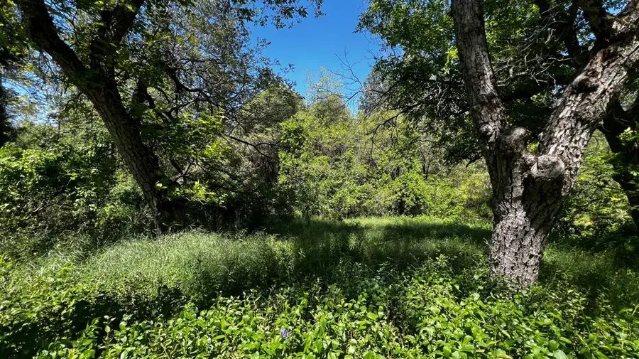 219 Smith Lane, West Point, CA 95255 - #2